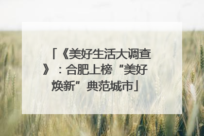 《美好生活大调查》：合肥上榜“美好焕新”典范城市
