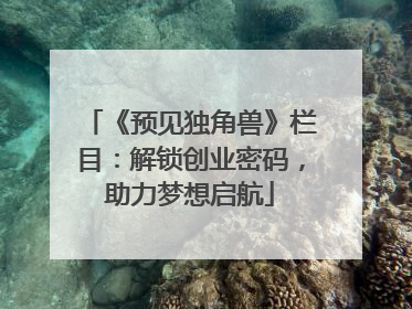 《预见独角兽》栏目：解锁创业密码，助力梦想启航