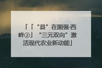 「“县”在图强·西峰②」“三元双向”激活现代农业新动能