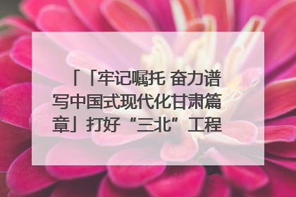 「牢记嘱托 奋力谱写中国式现代化甘肃篇章」打好“三北”工程攻坚战 筑牢国家西部生态安全屏障