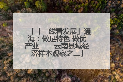 「一线看发展」通海：做足特色 做优产业——云南县域经济样本观察之二