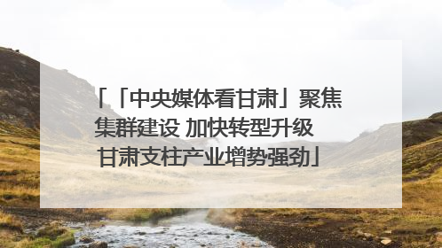 「中央媒体看甘肃」聚焦集群建设 加快转型升级 甘肃支柱产业增势强劲