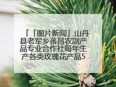 「图片新闻」山丹县老军乡蕃昌农副产品专业合作社每年生产各类玫瑰花产品500多吨