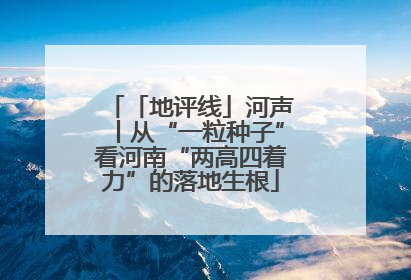 「地评线」河声丨从“一粒种子”看河南“两高四着力”的落地生根