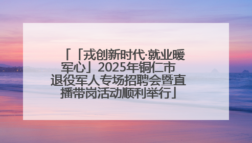 「戎创新时代·就业暖军心」2025年铜仁市退役军人专场招聘会暨直播带岗活动顺利举行