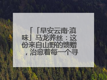 「早安云南·滇味」马龙荞丝：这份来自山野的馈赠，治愈着每一个寻味的游人