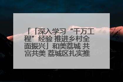 「深入学习“千万工程”经验 推进乡村全面振兴」和美荔城 共富共美 荔城区扎实推进乡村振兴工作