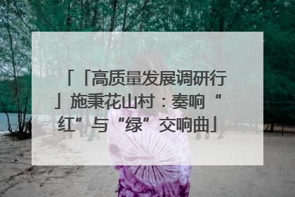 「高质量发展调研行」施秉花山村：奏响“红”与“绿”交响曲