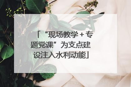“现场教学＋专题党课”为支点建设注入水利动能
