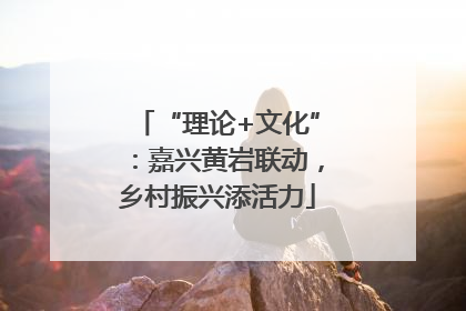 “理论+文化”：嘉兴黄岩联动，乡村振兴添活力