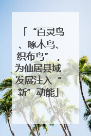 “百灵鸟、啄木鸟、织布鸟”，为仙居县域发展注入“新”动能