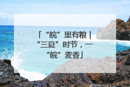 “皖”里有粮｜“三夏”时节，一“皖”麦香