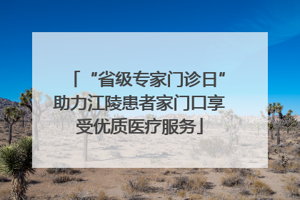 “省级专家门诊日”助力江陵患者家门口享受优质医疗服务