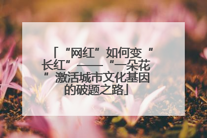 “网红”如何变“长红”——“一朵花”激活城市文化基因的破题之路