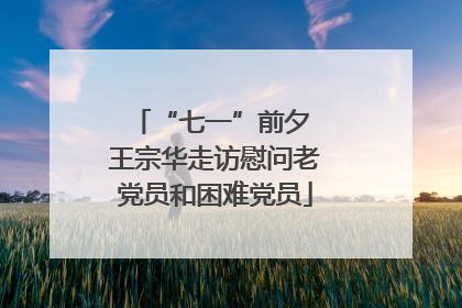 “七一”前夕 王宗华走访慰问老党员和困难党员