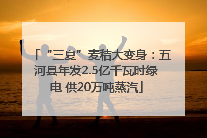 “三夏”麦秸大变身：五河县年发2.5亿千瓦时绿电 供20万吨蒸汽
