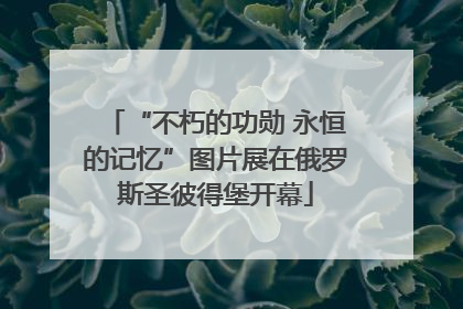 “不朽的功勋 永恒的记忆”图片展在俄罗斯圣彼得堡开幕