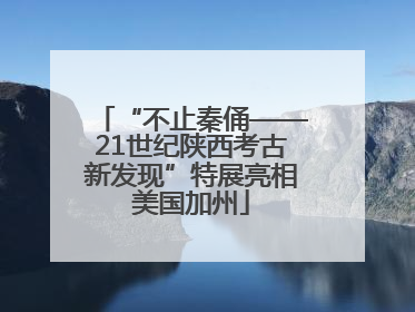 “不止秦俑——21世纪陕西考古新发现”特展亮相美国加州