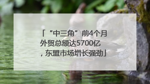 “中三角”前4个月外贸总额达5700亿，东盟市场增长强劲