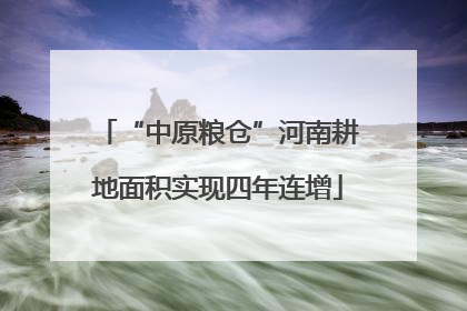 “中原粮仓”河南耕地面积实现四年连增