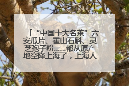 “中国十大名茶”六安瓜片、霍山石斛、灵芝孢子粉……都从原产地空降上海了，上海人这个周末得去农展中心逛逛咯～