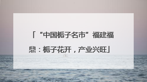 “中国栀子名市”福建福鼎：栀子花开，产业兴旺