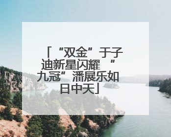 “双金”于子迪新星闪耀 “九冠”潘展乐如日中天