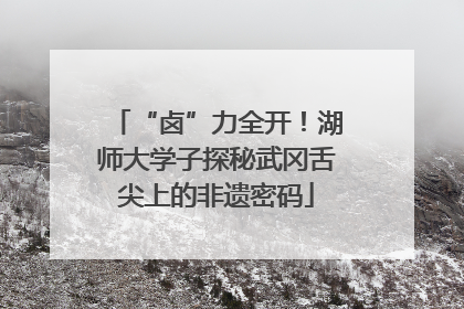 “卤”力全开！湖师大学子探秘武冈舌尖上的非遗密码