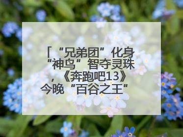 “兄弟团”化身“神鸟”智夺灵珠，《奔跑吧13》今晚“百谷之王”花落谁家？
