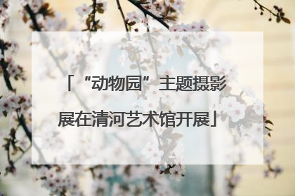“动物园”主题摄影展在清河艺术馆开展