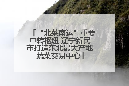 “北菜南运”重要中转枢纽 辽宁新民市打造东北最大产地蔬菜交易中心