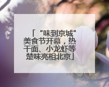 “味到京城”美食节开幕，热干面、小龙虾等楚味亮相北京
