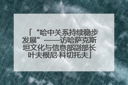 “哈中关系持续稳步发展”——访哈萨克斯坦文化与信息部副部长叶夫根尼·科切托夫