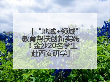 “地域+领域”教育帮扶创新实践！金沙20名学生赴西安研学