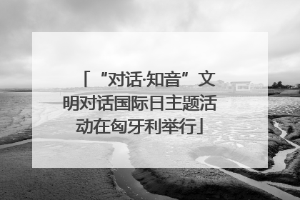 “对话·知音”文明对话国际日主题活动在匈牙利举行