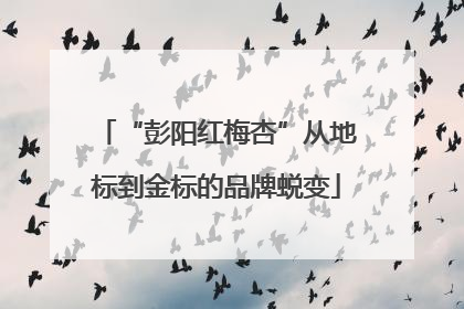 “彭阳红梅杏”从地标到金标的品牌蜕变