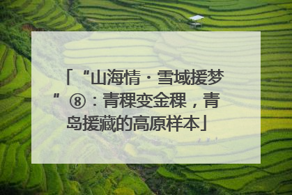 “山海情・雪域援梦”⑧：青稞变金稞，青岛援藏的高原样本
