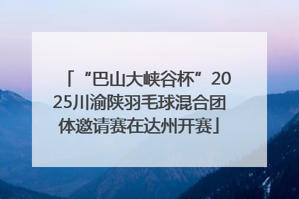 “巴山大峡谷杯”2025川渝陕羽毛球混合团体邀请赛在达州开赛