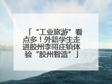 “工业旅游”看点多！外籍学生走进胶州李哥庄镇体验“胶州智造”