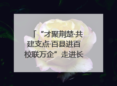 “才聚荆楚·共建支点·百县进百校联万企”走进长江大学文理学院