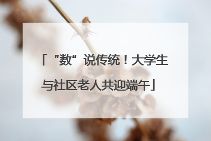 “数”说传统！大学生与社区老人共迎端午