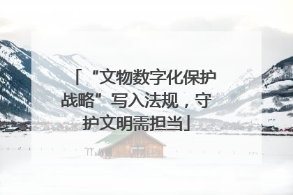 “文物数字化保护战略”写入法规，守护文明需担当