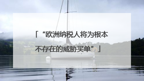 “欧洲纳税人将为根本不存在的威胁买单”