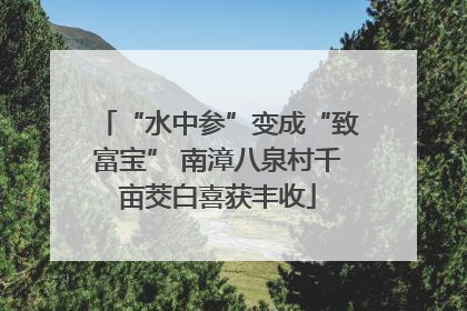 “水中参”变成“致富宝” 南漳八泉村千亩茭白喜获丰收
