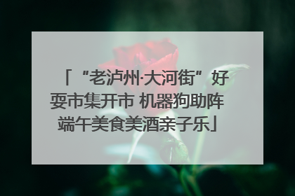 “老泸州·大河街”好耍市集开市 机器狗助阵端午美食美酒亲子乐