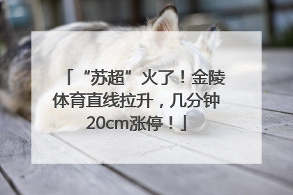 “苏超”火了！金陵体育直线拉升，几分钟20cm涨停！