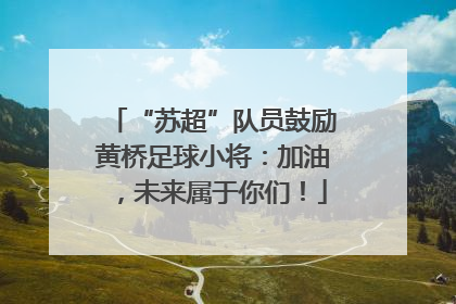 “苏超”队员鼓励黄桥足球小将：加油，未来属于你们！