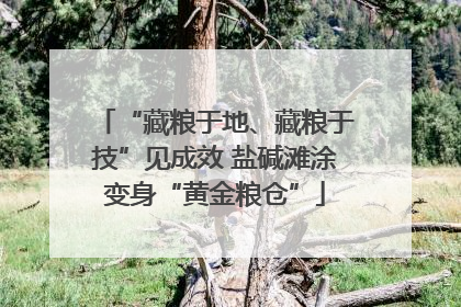 “藏粮于地、藏粮于技”见成效 盐碱滩涂变身“黄金粮仓”