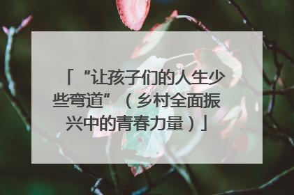 “让孩子们的人生少些弯道”（乡村全面振兴中的青春力量）