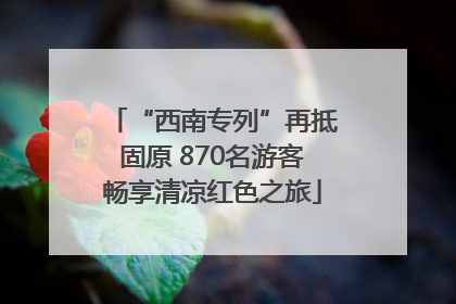 “西南专列”再抵固原 870名游客畅享清凉红色之旅